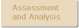 Assessment and Analysis